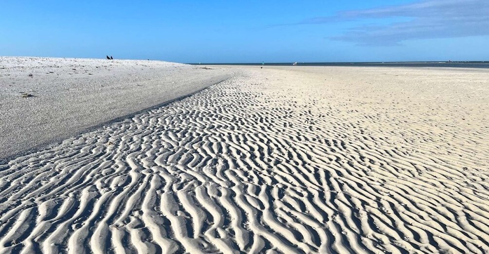 Picture 2 for Activity Barrier Island Shelling Tour