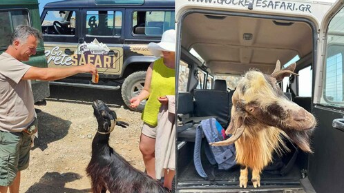 Rahasia Tur Safari Kreta Selatan