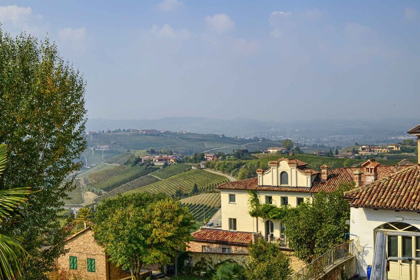 Picture 2 for Activity Neive: Cycling Tour from Neive to Barbaresco