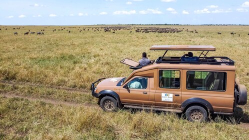 Vanuit Arusha: drijf- en vliegsafari Tarangire & Serengeti