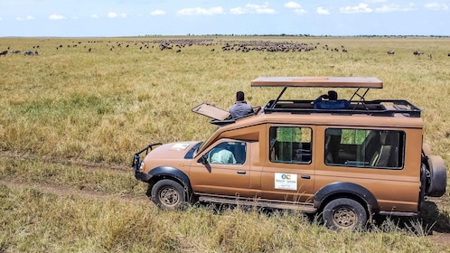 Depuis Arusha : Safari en voiture et en avion Tarangire et Serengeti