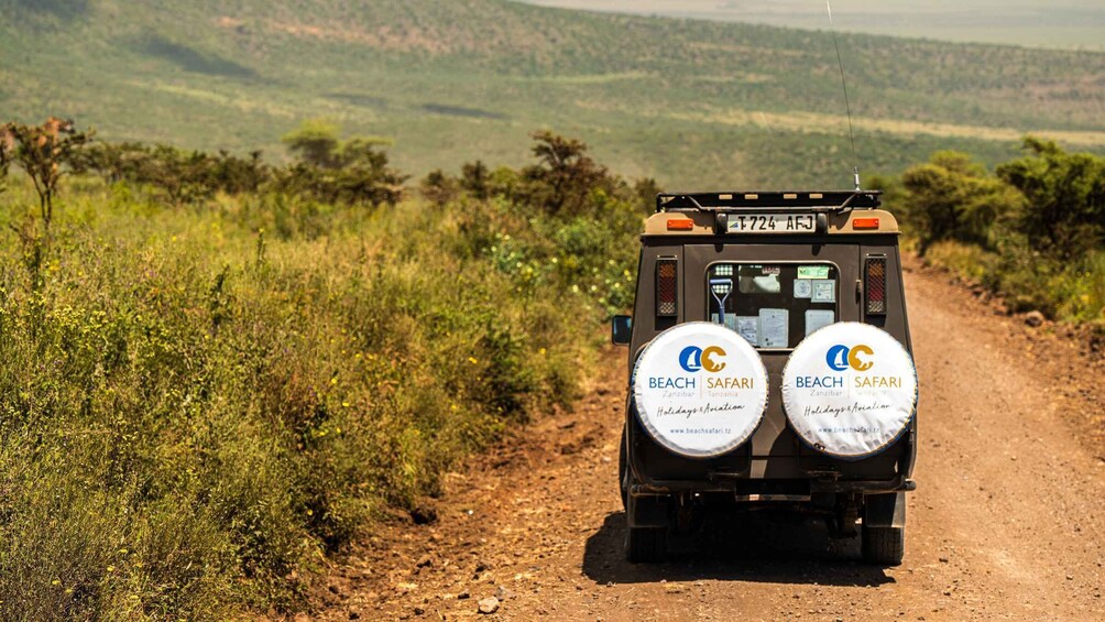 Picture 44 for Activity From Arusha: Drive and Fly Back Safari Tarangire & Serengeti