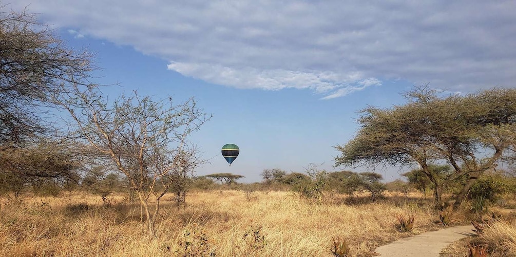 Picture 129 for Activity From Arusha: Drive and Fly Back Safari Tarangire & Serengeti