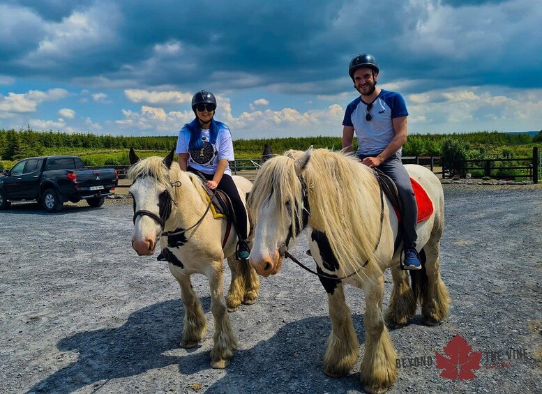 Picture 3 for Activity Cape Town: Horse Riding Experience