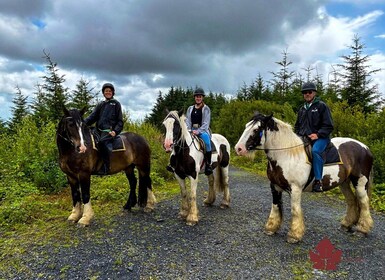 Cape Town: Horse Riding Experience