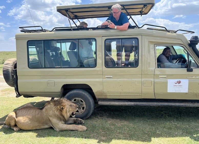 Picture 1 for Activity From Zanzibar: Mikumi Day Safari