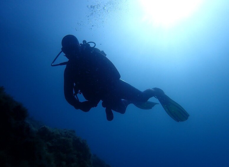 Picture 5 for Activity 1 Year Validity: Scuba Diving Experience for Beginners