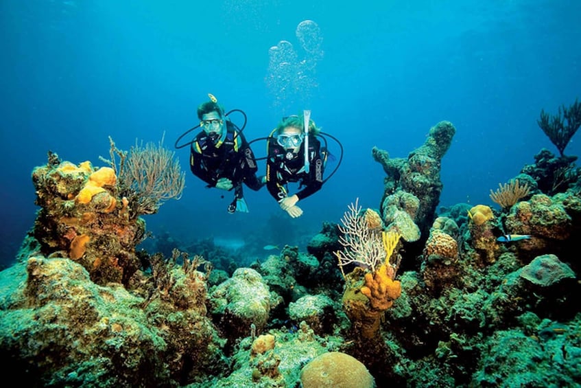 1 Year Validity: Scuba Diving Experience for Beginners