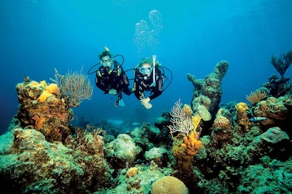 1 Year Validity: Scuba Diving Experience for Beginners