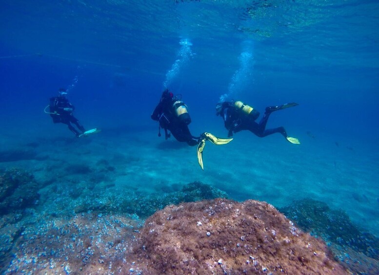 Picture 7 for Activity 1 Year Validity: Scuba Diving Experience for Beginners