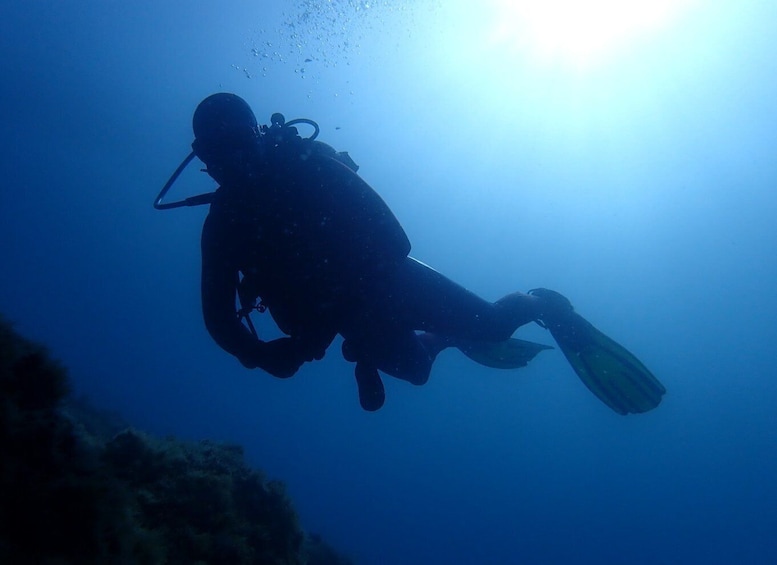 Picture 5 for Activity 1 Year Validity: Scuba Diving Experience for Beginners