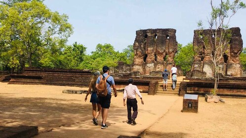 Minneriya: Wild Safari and Polonnaruwa Sightseeing Day Tour