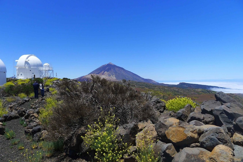 Picture 3 for Activity Tenerife: Teide and Stars