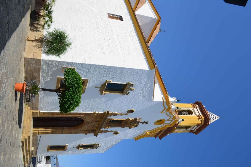 Picture 3 for Activity Tour por Estepona Centro