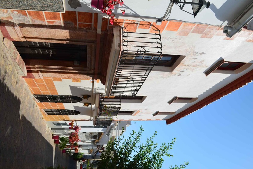 Picture 4 for Activity Tour por Estepona Centro
