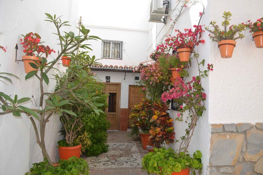 Picture 2 for Activity Tour por Estepona Centro
