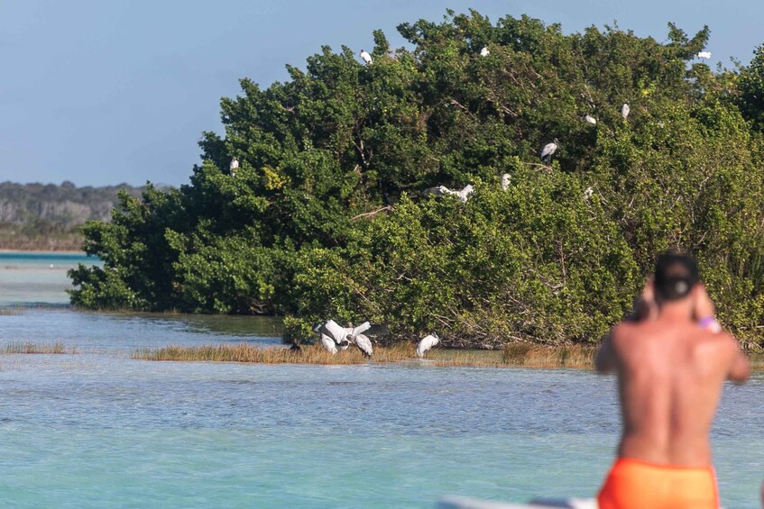 Picture 1 for Activity Bacalar: Full Day Kayak Rental in the Lagoon of Seven Colors