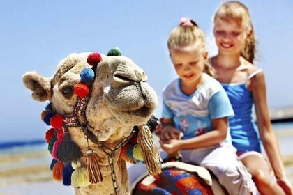 Tanger privé excursion avec déjeuner et promenade à dos de chameau
