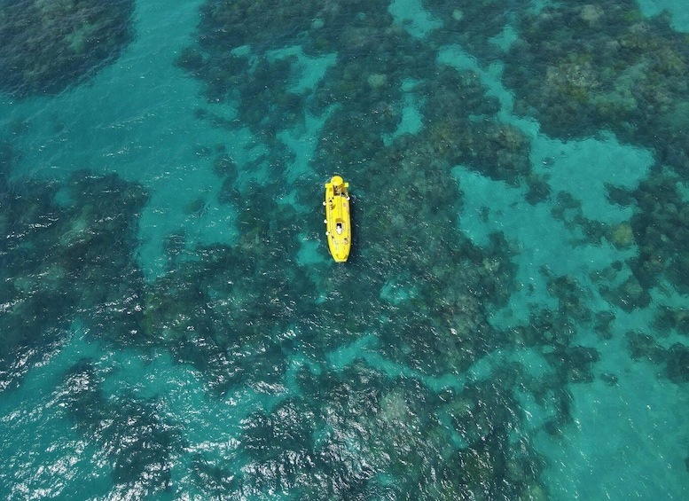 Picture 7 for Activity Zanzibar : The Sunset Cruise Submarine Tour