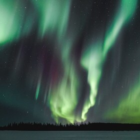 Rovaniemi: Aurora Borealis metsästysvalokuvakierros