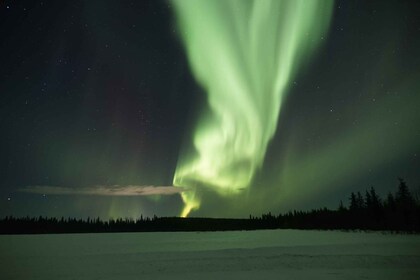 Rovaniemi: Aurora Borealis Jagd Fototour