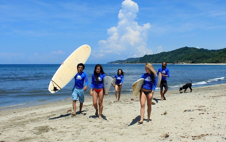 Picture 7 for Activity Surf Lesson in Sayulita's Beach