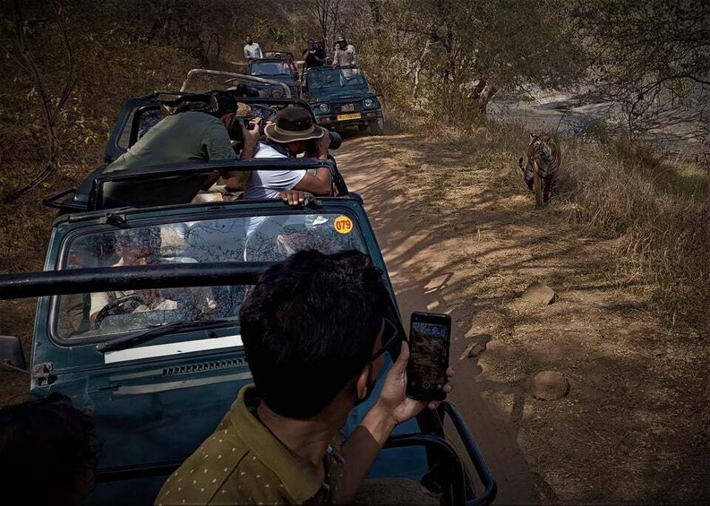 Picture 2 for Activity Ranthambore safari by Canter ( 20 seater bus)