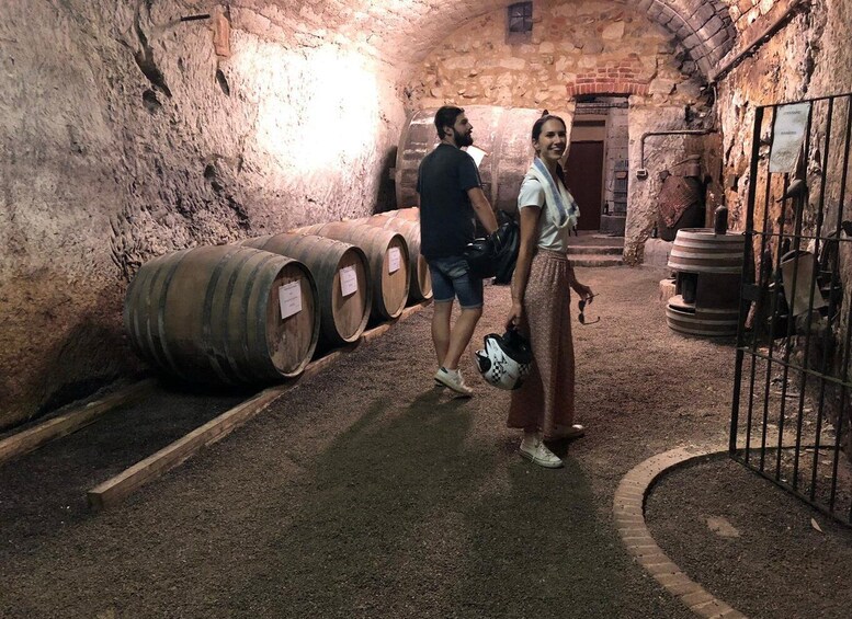 Picture 1 for Activity Quad & E-Bike - Monferrato Hills - Unesco Winery Tour