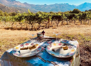 Private wine tastings around Calvi & Île-Rousse