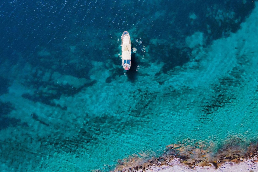 Picture 2 for Activity Split: Blue Lagoon Party Cruise with Swim Stop & After Party
