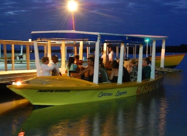 Laguna luminosa (aguas relucientes) privada