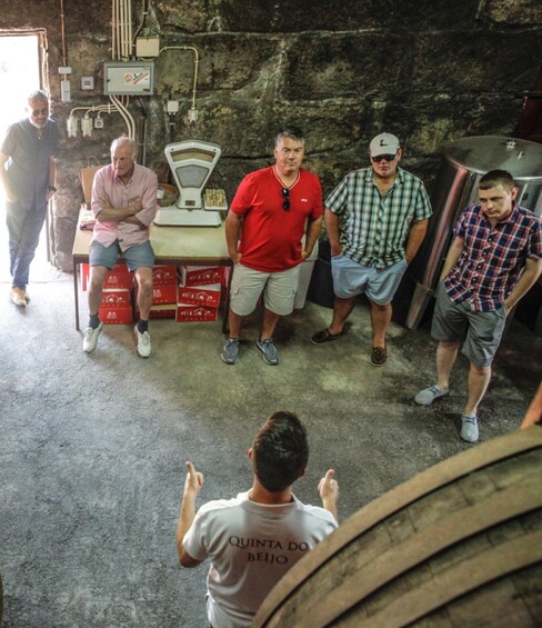 Picture 1 for Activity Douro: Classic Wine Tasting with Guided Tour