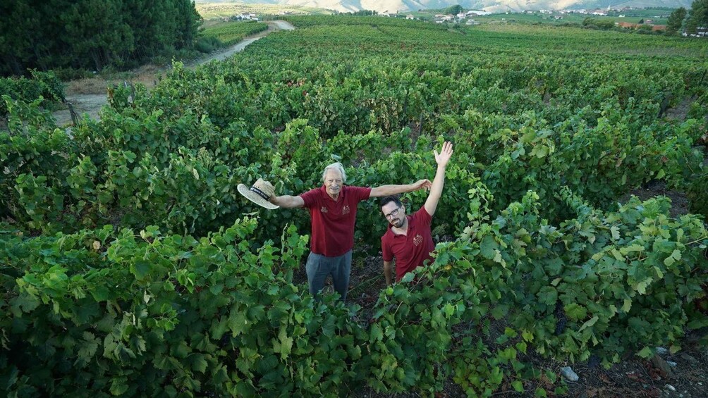 Picture 4 for Activity Douro: Classic Wine Tasting with Guided Tour