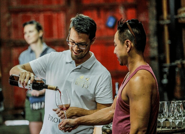 Douro: Classic Wine Tasting with Guided Tour