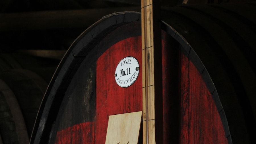 Douro: Classic Wine Tasting with Guided Tour
