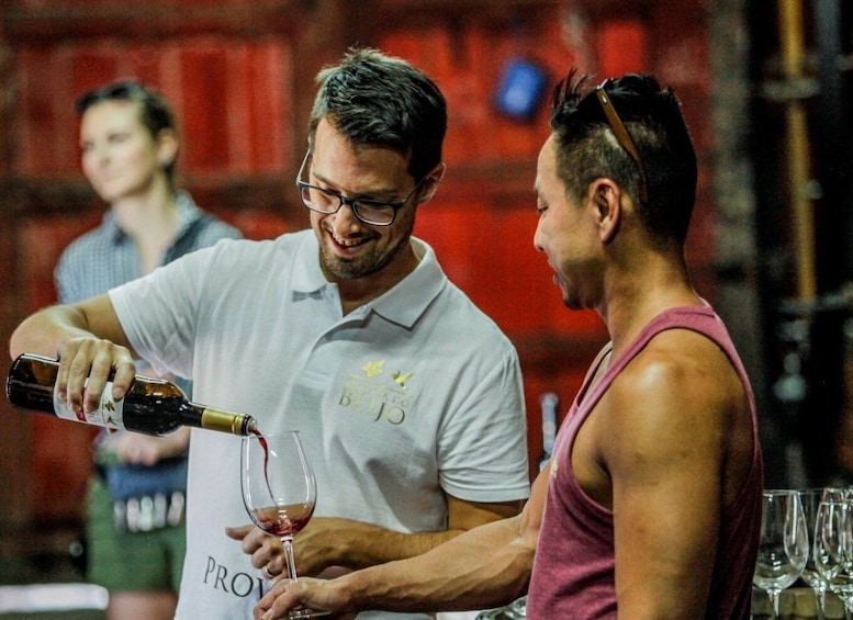 Douro: Classic Wine Tasting with Guided Tour