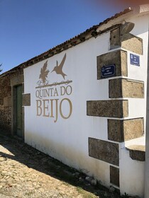 Douro: Classic Wine Tasting with Guided Tour