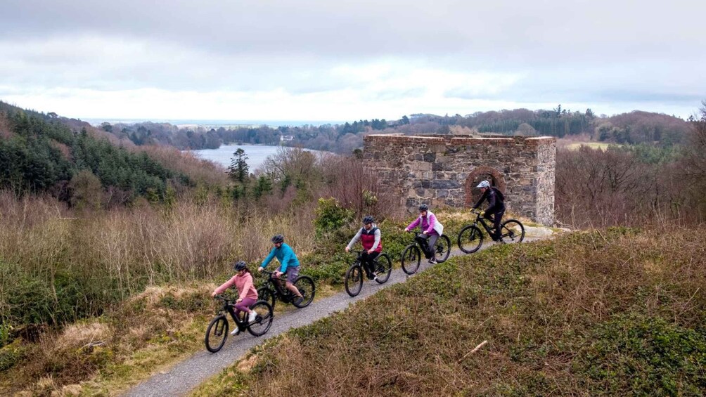 Picture 7 for Activity From Belfast: Mountain Bike Experience