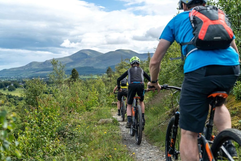 From Belfast: Mountain Bike Experience