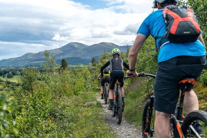 From Belfast: Mountain Bike Experience