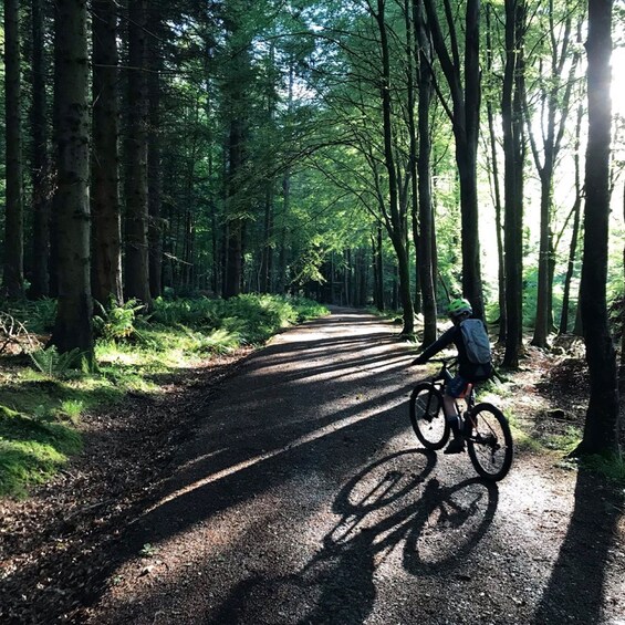 Picture 5 for Activity From Belfast: Mountain Bike Experience