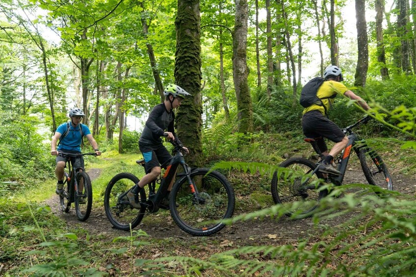 Picture 3 for Activity From Belfast: Mountain Bike Experience