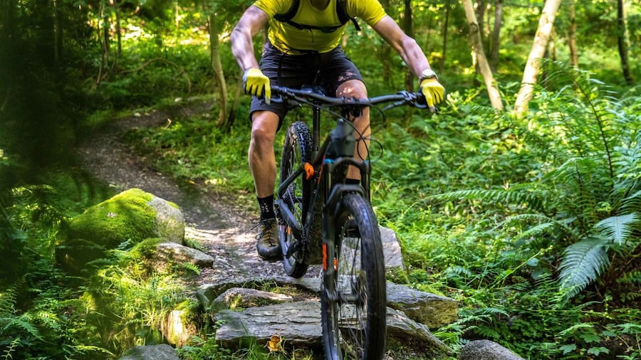 From Belfast: Mountain Bike Experience