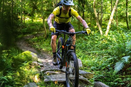 Von Belfast aus: Mountainbike-Erlebnis