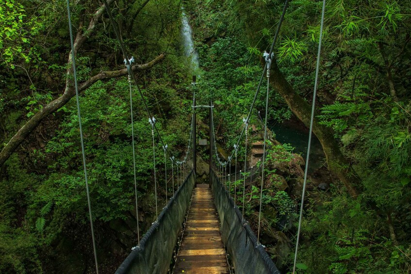 Picture 3 for Activity Guanacaste: 3-in-1 Rincon de la Vieja Park Nature Day Pass