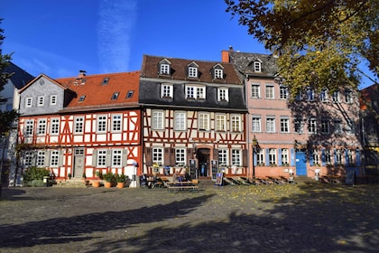 Frankfurt: Höchst Wandeltour met een lokale bewoner