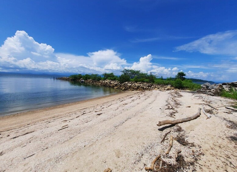 Picture 7 for Activity From Puntarenas: Bioluminiscence Boat Tour with BBQ & Drinks