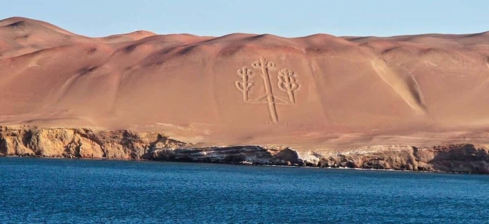 Picture 4 for Activity From Paracas || Excursion to the Ballestas Islands ||3 hours