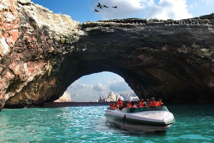 Dari Paracas || Tamasya ke Kepulauan Ballestas ||3 jam