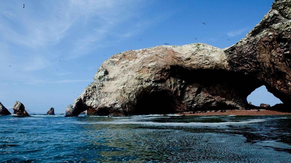 Picture 6 for Activity From Paracas || Excursion to the Ballestas Islands ||3 hours